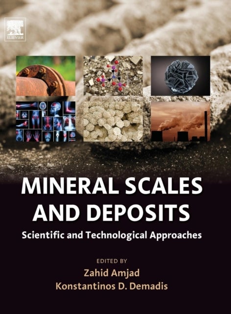 Mineral Scales and Deposits - Scientific and Technological Approaches