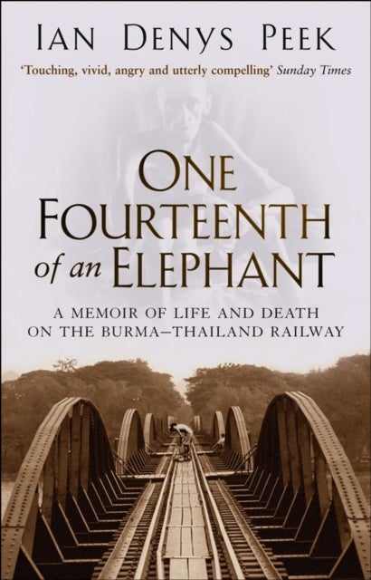 One Fourteenth Of An Elephant