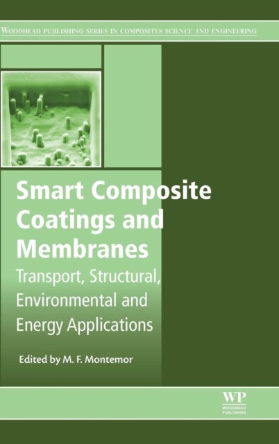 Smart Composite Coatings and Membranes - Transport, Structural, Environmental and Energy Applications
