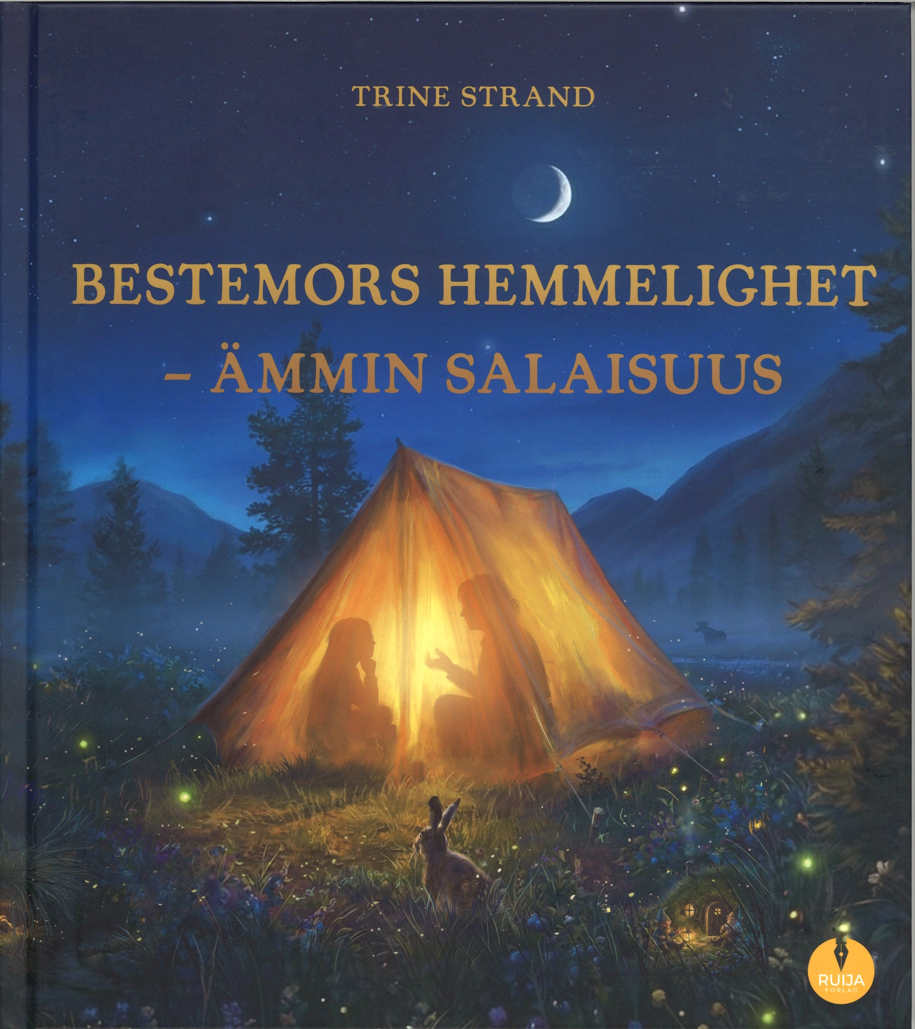 Bestemors hemmelighet - Ämmin salaisuus