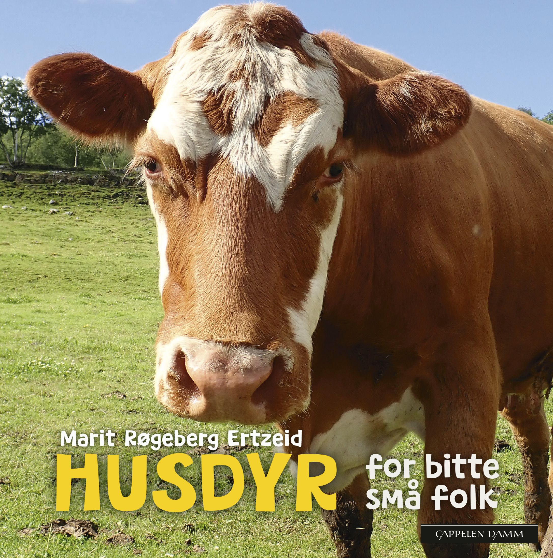 Husdyr for bitte små folk