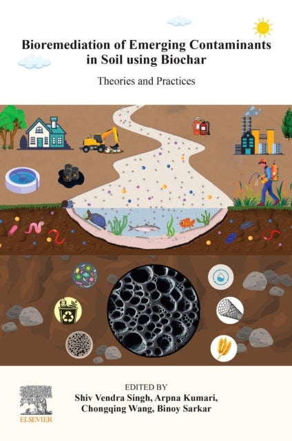 Bioremediation of Emerging Contaminants in Soil using Biochar - Theories and Practices