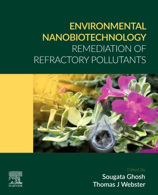 Environmental Nanobiotechnology - Remediation of Refractory Pollutants