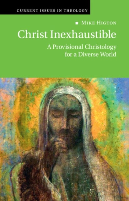 Christ Inexhaustible - A Provisional Christology for a Diverse World