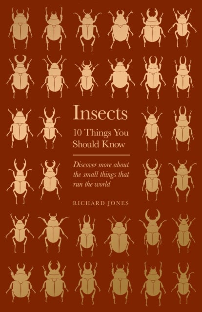 Insects av Richard Jones