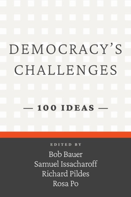 Democracy's Challenges - 100 Ideas
