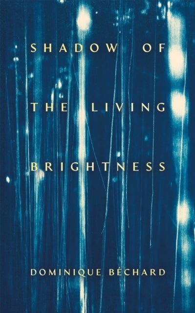 Shadow of the Living Brightness