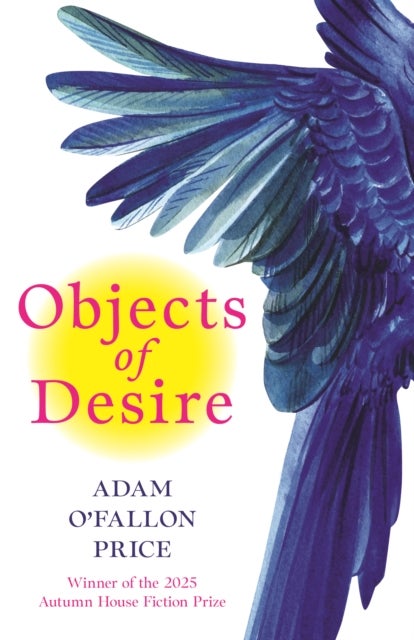 Objects of Desire - Stories