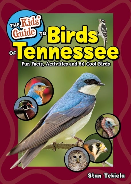 Kids' Guide to Birds of Tennessee - Fun Facts, Activities, and 87 Cool Birds
