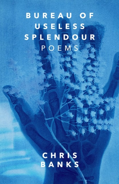 Bureau of Useless Splendour - Poems