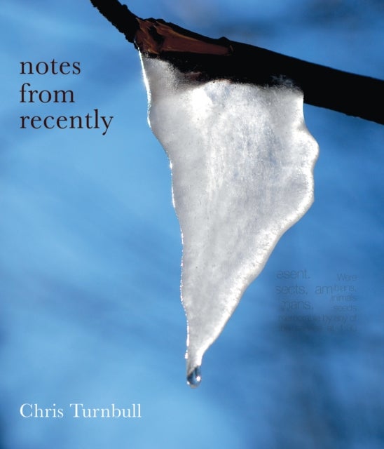 notes from recently