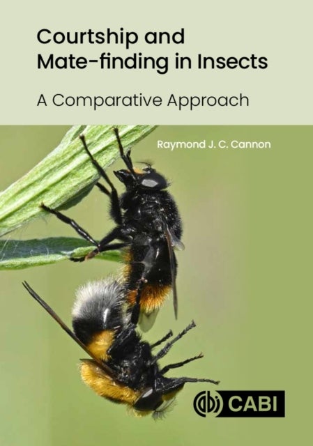 Courtship and Mate-finding in Insects - A Comparative Approach