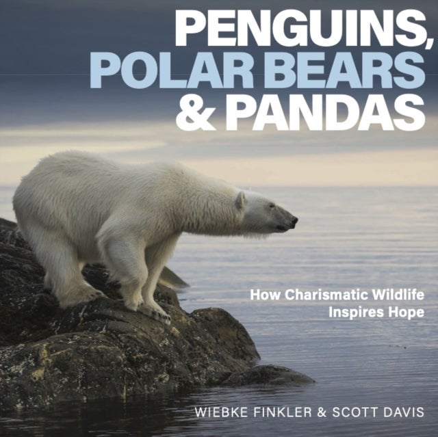 Penguins, Polar Bears, and Pandas - How Charismatic Wildlife Inspires Hope