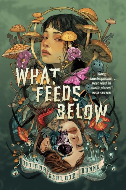 What Feeds Below