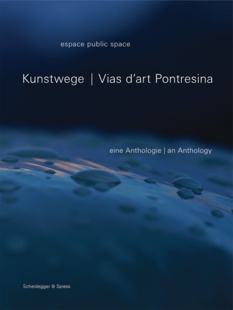Vias d'art Pontresina - An Anthology