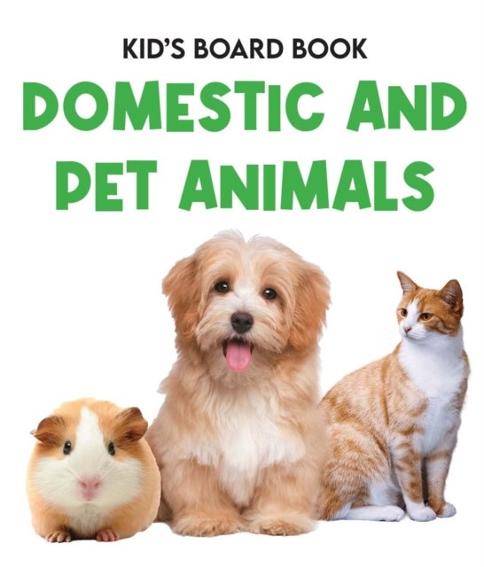 Kids Board Book Domestic and Pets Animals