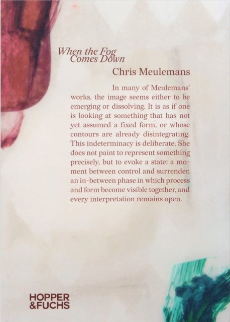 When the Fog Comes Down - Chris Meulemans