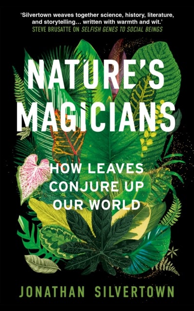 Nature's Magicians - How Leaves Conjure Up Our World
