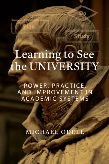 Learning to See the University - Power, Practice, and Improvement in Academic Systems