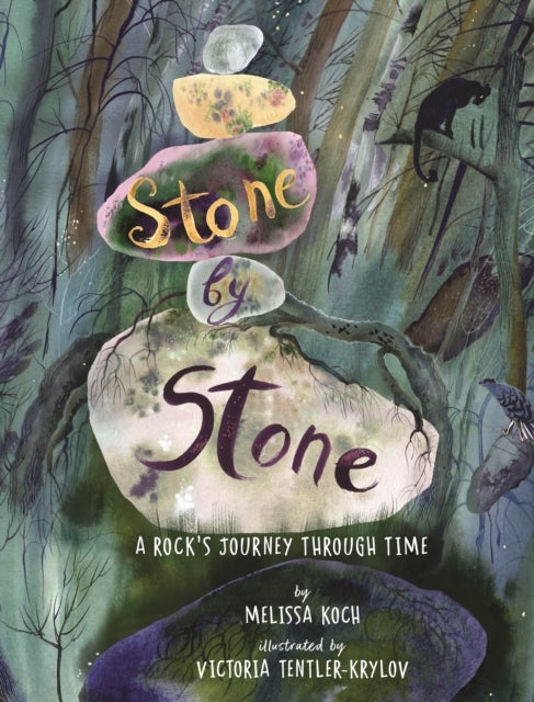Stone by Stone - A Rock's Journey Through Time
