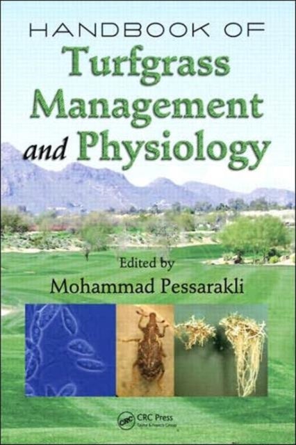 Handbook of Turfgrass Management And Physiology