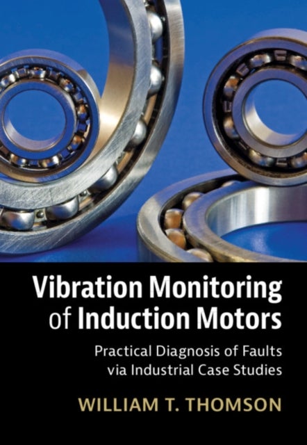 Vibration Monitoring of Induction Motors - Practical Diagnosis of Faults via Industrial Case Studies