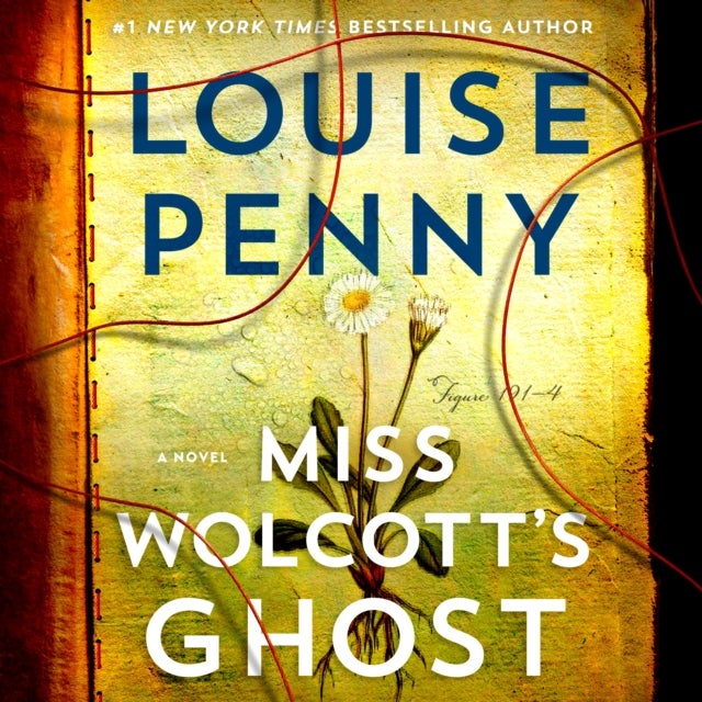 Miss Wolcott's Ghost - A Novel