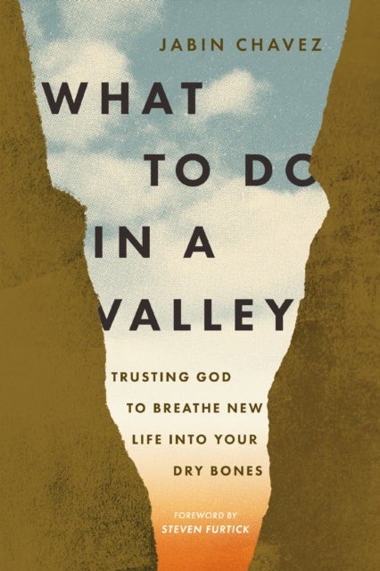 What to Do in a Valley - Trusting God to Breathe New Life into Your Dry Bones