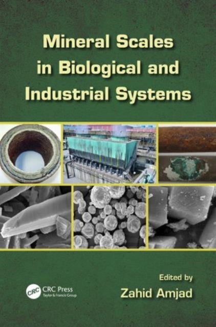 Mineral Scales in Biological and Industrial Systems