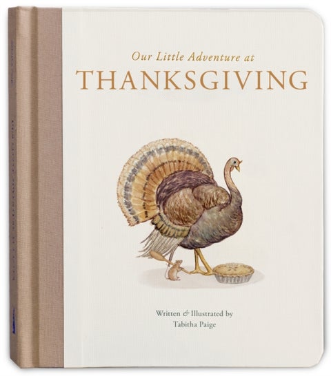 Our Little Adventure at Thanksgiving - Featuring Foundational Language Concepts and Lessons on Gratitude