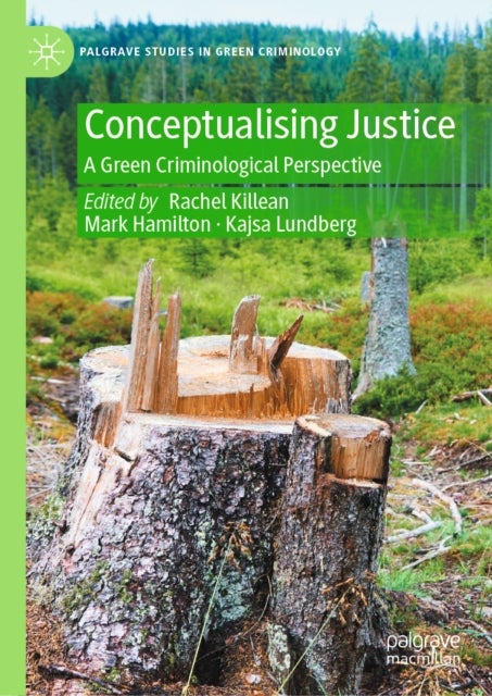 Conceptualising Justice
