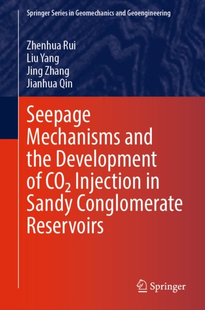 Seepage Mechanisms and the Development of CO2 Injection in Sandy Conglomerate Reservoirs