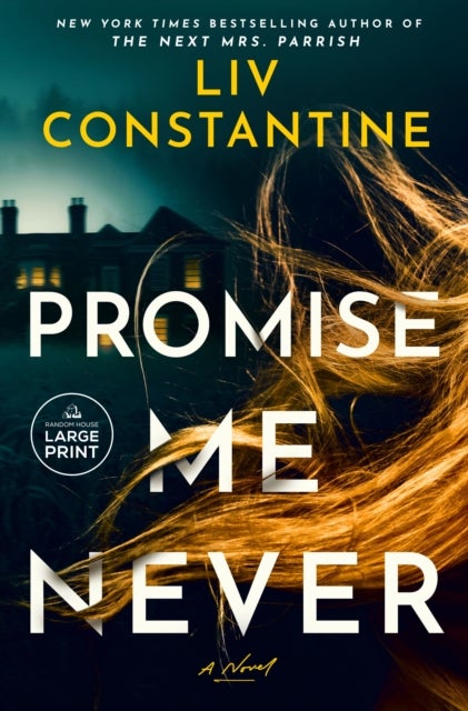 Promise Me Never - A Novel
