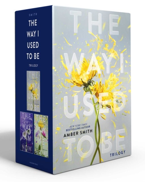 The Way I Used to Be Trilogy (Boxed Set) - The Way I Used to Be; The Way I Am Now; The Way We Become