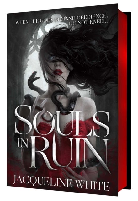 The Souls in Ruin