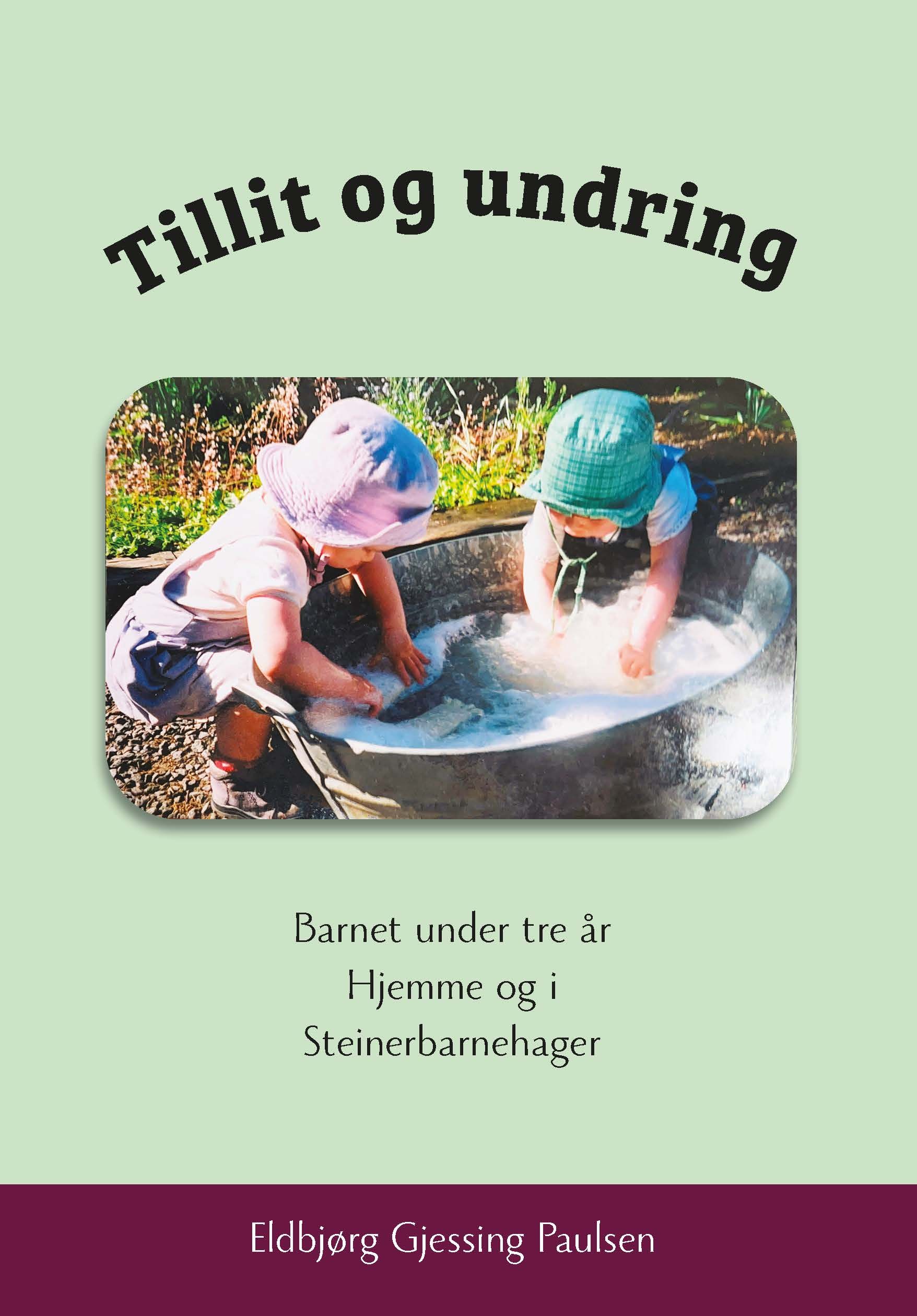 Tillit og undring - barnet under 3 år hjemme og i Steinerbarnehagen