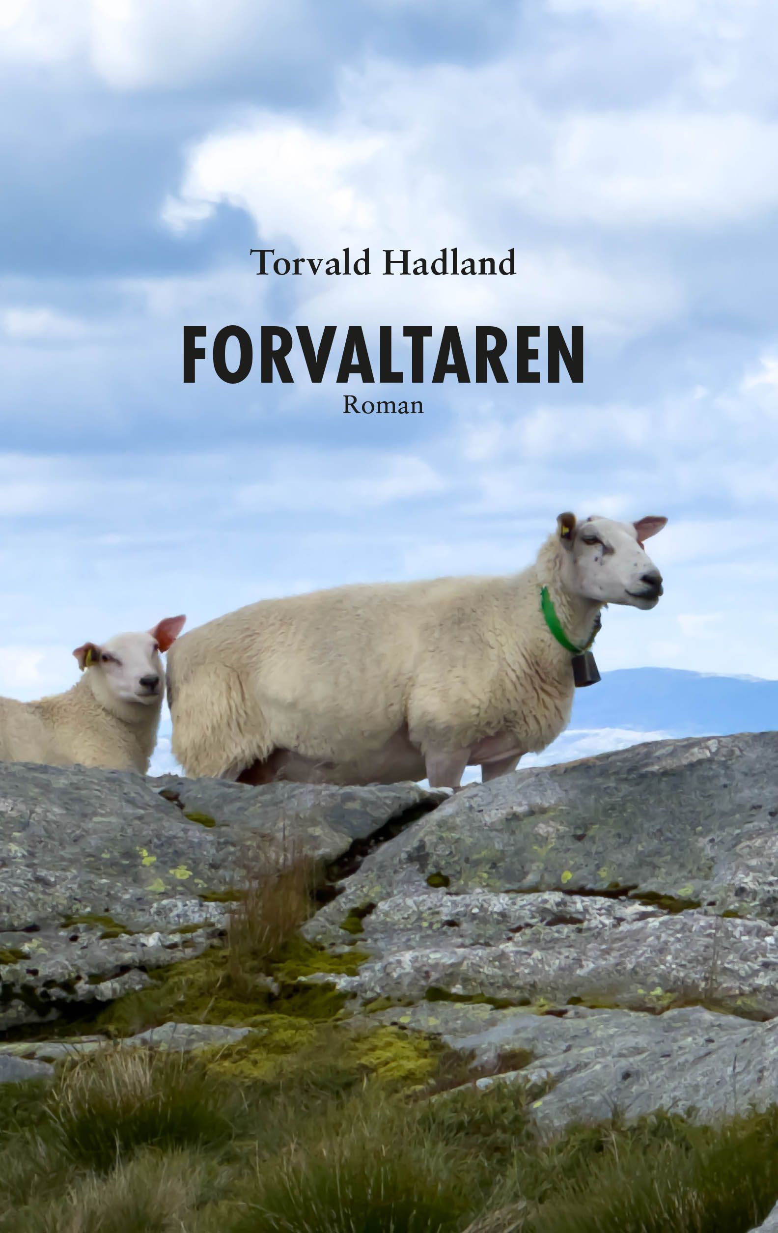 Forvaltaren - roman