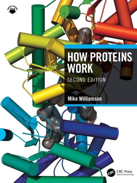 How Proteins Work
