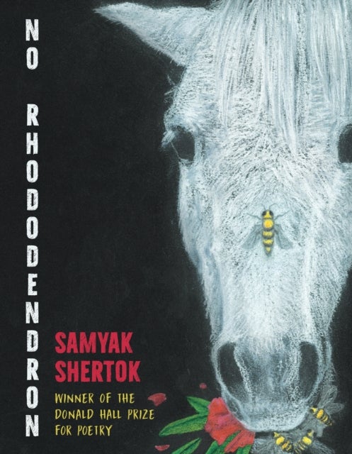 No Rhododendron - Poems
