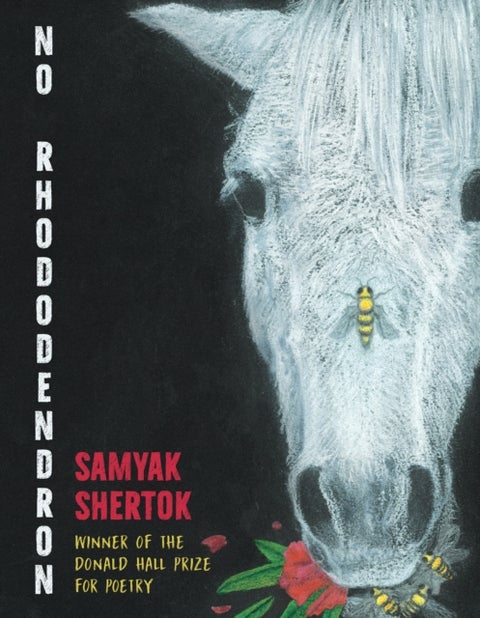 No Rhododendron - Poems