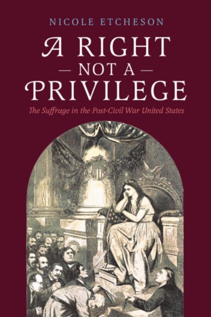 A Right Not a Privilege - The Suffrage in the Post-Civil War United States