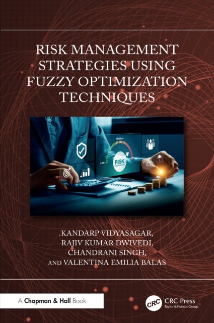 Risk Management Strategies Using Fuzzy Optimization Techniques