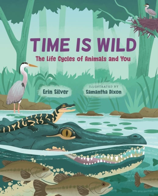 Time Is Wild - The Life Cycles of Animals and You