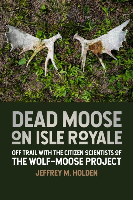 Dead Moose on Isle Royale - Off Trail with the Citizen Scientists of the Wolf-Moose Project