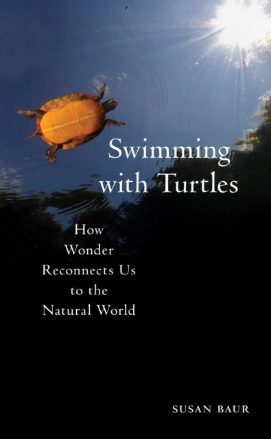 Swimming with Turtles