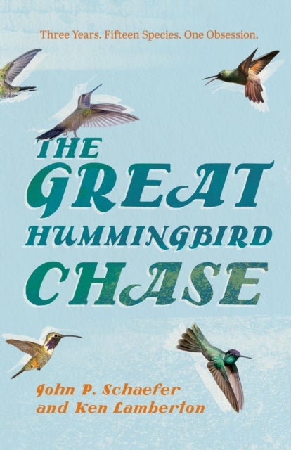 The Great Hummingbird Chase
