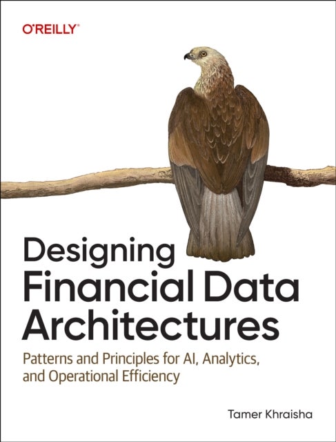 Designing Financial Data Architectures - Patterns and Principles for AI, Analytics, and Operational Efficiency