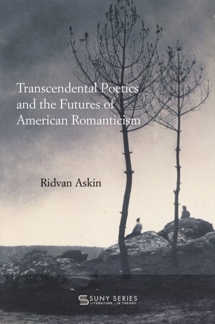 Transcendental Poetics and the Futures of American Romanticism