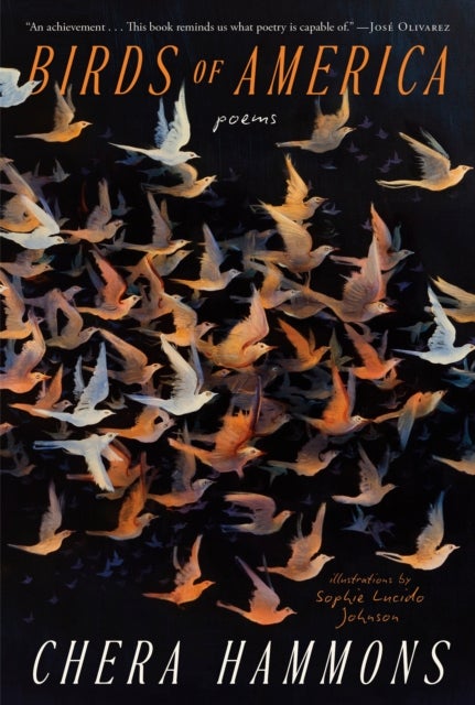 Birds of America