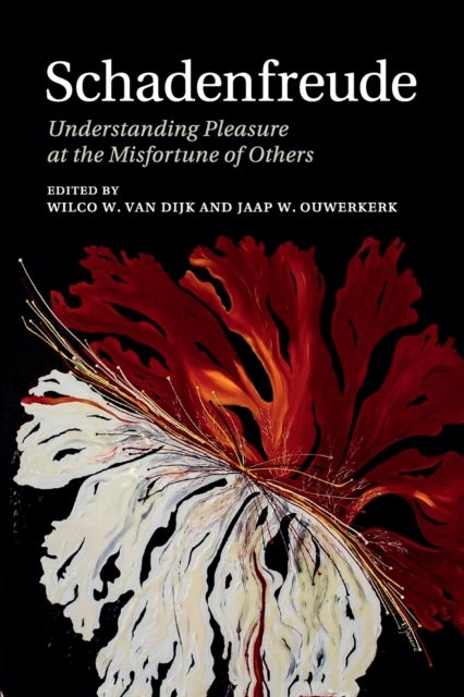Schadenfreude - Understanding Pleasure at the Misfortune of Others